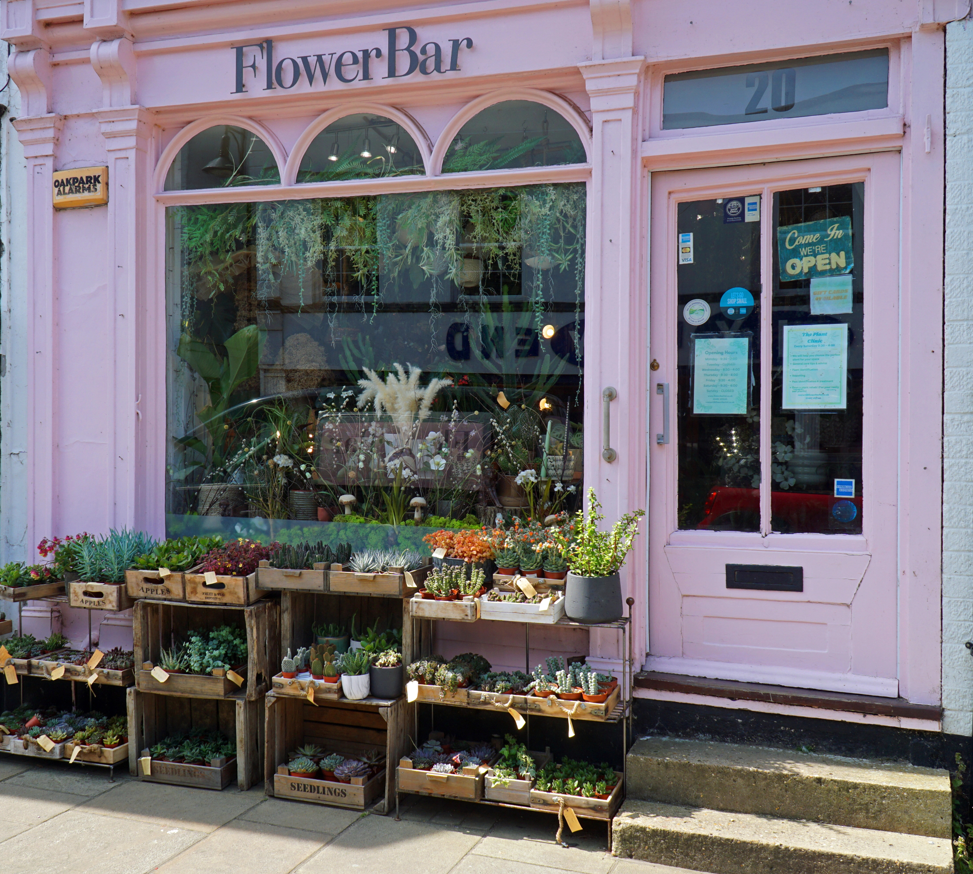 Cvetličarna, kjer se vse začne in konča